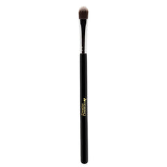 Set de brochas para iluminar