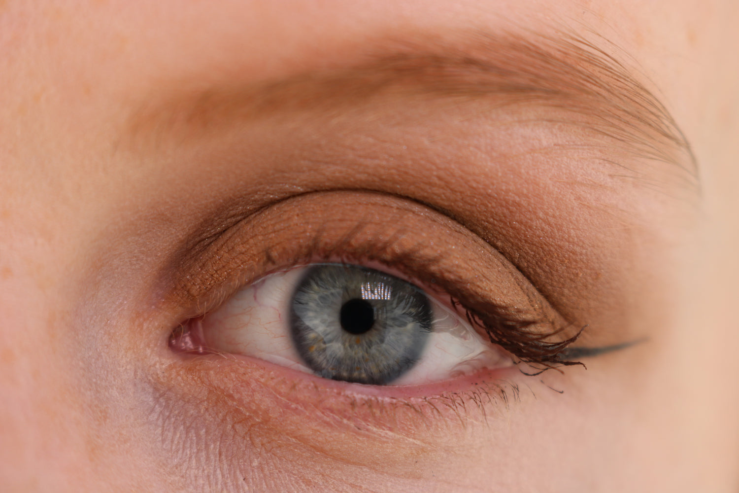 Sombra de ojos Honey Bronze